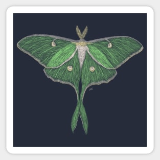 Luna Moth Sticker